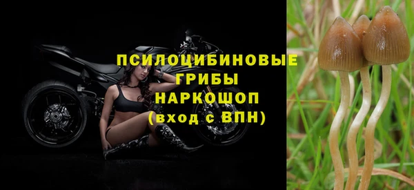 прущие грибы Верхнеуральск