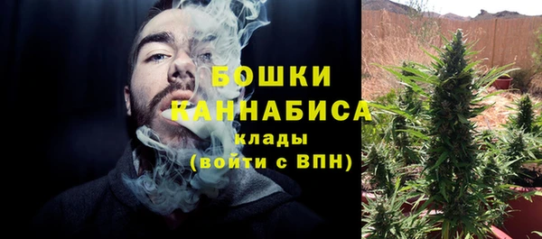 прущие грибы Верхнеуральск