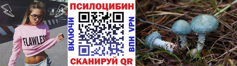 Псилоцибиновые грибы GOLDEN TEACHER  Рузаевка 