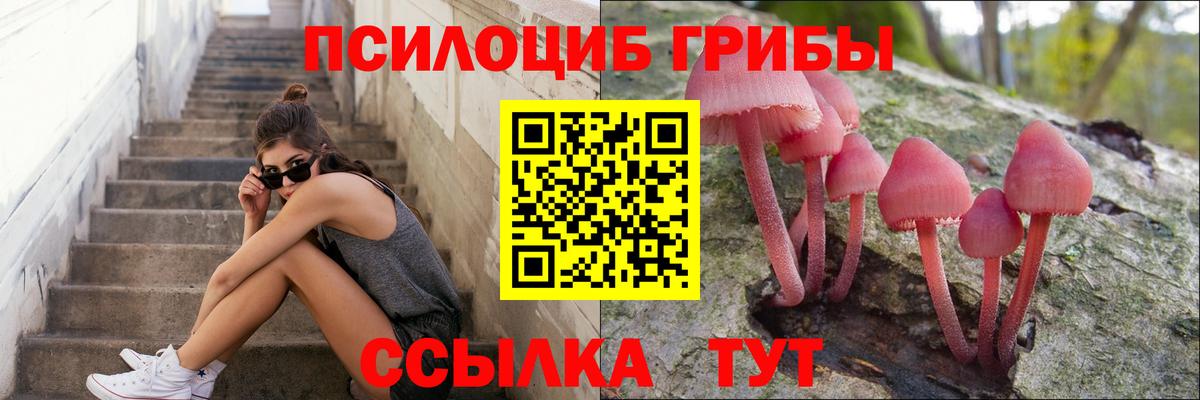 Псилоцибиновые грибы прущие грибы  Вход с VPN  Рузаевка  Галлюциногенные грибы ЛСД 